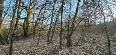 Terrain à Roquefort en Lot-et-Garonne (47) de 0 m² à vendre au prix de 81000€ - 2