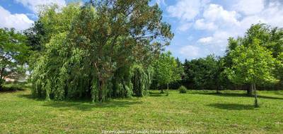 Terrain à Sainte-Foy-d'Aigrefeuille en Haute-Garonne (31) de 0 m² à vendre au prix de 148000€ - 4