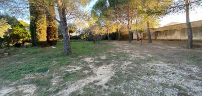 Terrain à Abeilhan en Hérault (34) de 1000 m² à vendre au prix de 149000€ - 4