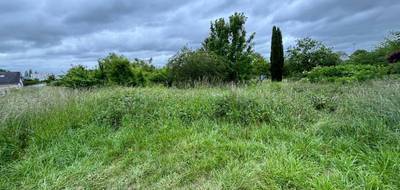 Terrain à Nogent-sur-Loir en Sarthe (72) de 2442 m² à vendre au prix de 40000€ - 1