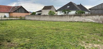 Terrain à Rumersheim-le-Haut en Haut-Rhin (68) de 526 m² à vendre au prix de 88900€ - 1