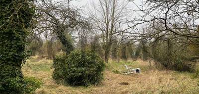 Terrain à Villenauxe-la-Grande en Aube (10) de 0 m² à vendre au prix de 12000€ - 3