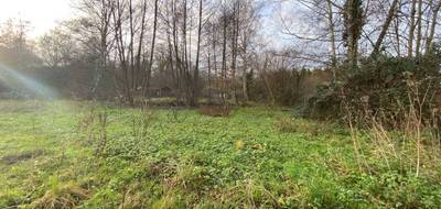 Terrain à Saint-Pierre-du-Lorouër en Sarthe (72) de 4595 m² à vendre au prix de 19500€ - 3