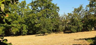 Terrain à Saint-Médard-en-Forez en Loire (42) de 0 m² à vendre au prix de 124500€ - 2