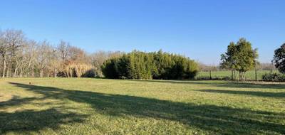 Terrain à Saint-Jean-de-Rives en Tarn (81) de 0 m² à vendre au prix de 95000€ - 3