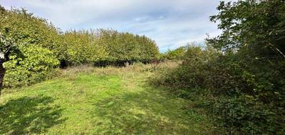 Terrain à Souppes-sur-Loing en Seine-et-Marne (77) de 0 m² à vendre au prix de 39000€ - 1