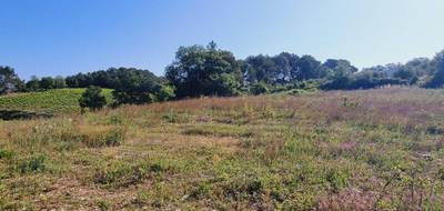 Terrain à Saint-Maurice-de-Cazevieille en Gard (30) de 0 m² à vendre au prix de 135000€ - 3