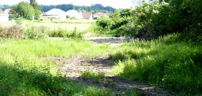 Terrain à Dogneville en Vosges (88) de 0 m² à vendre au prix de 65000€ - 4