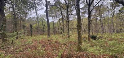 Terrain à Barbaste en Lot-et-Garonne (47) de 48400 m² à vendre au prix de 48400€ - 2