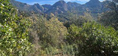 Terrain à Ocana en Corse-du-Sud (2A) de 0 m² à vendre au prix de 155000€ - 1