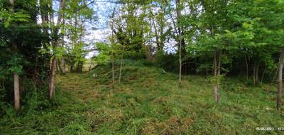 Terrain à Langon en Gironde (33) de 0 m² à vendre au prix de 51000€ - 3