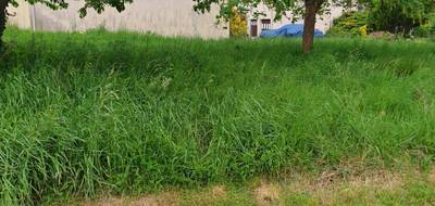Terrain à Villenauxe-la-Grande en Aube (10) de 0 m² à vendre au prix de 34000€ - 2