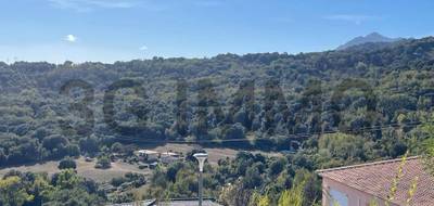 Terrain à Penta-di-Casinca en Haute-Corse (2B) de 874 m² à vendre au prix de 150000€ - 2