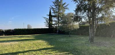 Terrain à Saint-Jean-de-Rives en Tarn (81) de 0 m² à vendre au prix de 95000€ - 2