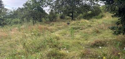 Terrain à Aurec-sur-Loire en Haute-Loire (43) de 0 m² à vendre au prix de 90000€ - 1