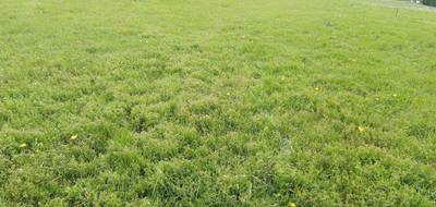 Terrain à Ébreuil en Allier (03) de 0 m² à vendre au prix de 35000€ - 1