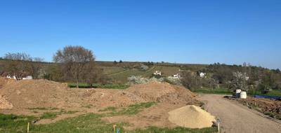 Terrain à Orschwihr en Haut-Rhin (68) de 0 m² à vendre au prix de 62825€ - 2