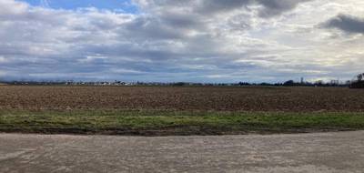 Terrain à Munwiller en Haut-Rhin (68) de 0 m² à vendre au prix de 94900€ - 4