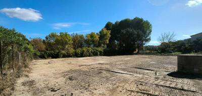 Terrain à Pézenas en Hérault (34) de 0 m² à vendre au prix de 168000€ - 1
