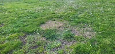Terrain à Fourquevaux en Haute-Garonne (31) de 0 m² à vendre au prix de 149000€ - 2