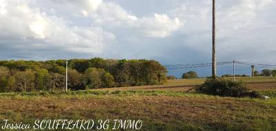 Terrain à Morganx en Landes (40) de 0 m² à vendre au prix de 27500€ - 3