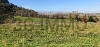 Terrain à Horsarrieu en Landes (40) de 2290 m² à vendre au prix de 22500€ - 2