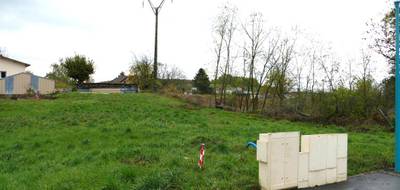 Terrain à Dogneville en Vosges (88) de 0 m² à vendre au prix de 77000€ - 4