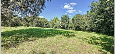 Terrain à Doazon en Pyrénées-Atlantiques (64) de 0 m² à vendre au prix de 29000€ - 4