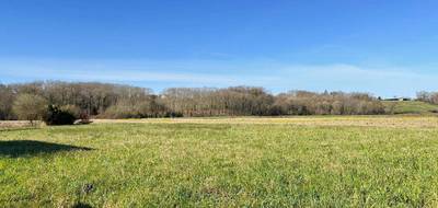 Terrain à Amou en Landes (40) de 0 m² à vendre au prix de 55000€ - 4