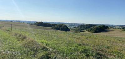 Terrain à Saint-Paul-d'Espis en Tarn-et-Garonne (82) de 0 m² à vendre au prix de 29000€ - 1