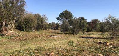 Terrain à Sanilhac-Sagriès en Gard (30) de 350 m² à vendre au prix de 103000€ - 4