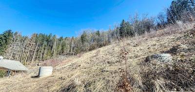Terrain à Mieussy en Haute-Savoie (74) de 0 m² à vendre au prix de 138000€ - 3