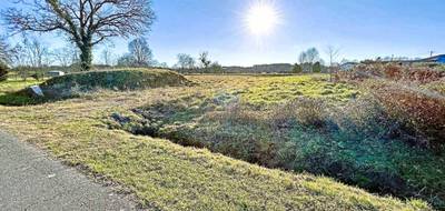 Terrain à Arsague en Landes (40) de 0 m² à vendre au prix de 49900€ - 3