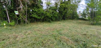 Terrain à Langon en Gironde (33) de 0 m² à vendre au prix de 51000€ - 2