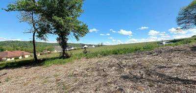 Terrain à Parbayse en Pyrénées-Atlantiques (64) de 0 m² à vendre au prix de 55000€ - 1