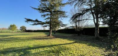 Terrain à Saint-Jean-de-Rives en Tarn (81) de 0 m² à vendre au prix de 98500€ - 1