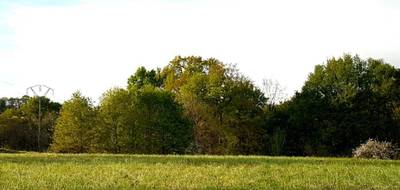 Terrain à Morganx en Landes (40) de 0 m² à vendre au prix de 27500€ - 1