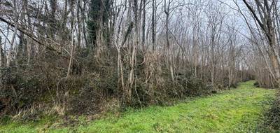 Terrain à Escalans en Landes (40) de 76385 m² à vendre au prix de 75000€ - 3