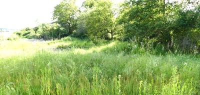 Terrain à Dogneville en Vosges (88) de 1037 m² à vendre au prix de 65000€ - 1
