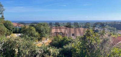 Terrain à Penta-di-Casinca en Haute-Corse (2B) de 0 m² à vendre au prix de 120000€ - 1