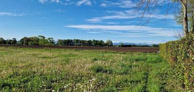 Terrain à Uzein en Pyrénées-Atlantiques (64) de 0 m² à vendre au prix de 99000€ - 1