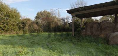 Terrain à Verdalle en Tarn (81) de 0 m² à vendre au prix de 65000€ - 3