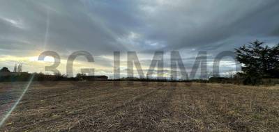 Terrain à Beauregard-l'Évêque en Puy-de-Dôme (63) de 0 m² à vendre au prix de 71000€ - 3
