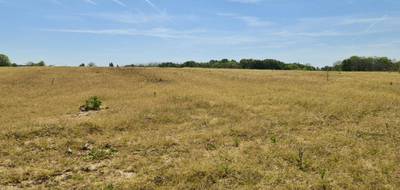 Terrain à Sainte-Marie-de-Gosse en Landes (40) de 810 m² à vendre au prix de 134800€ - 2