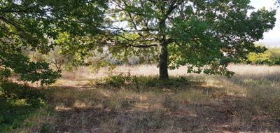 Terrain à Le Pouget en Hérault (34) de 300 m² à vendre au prix de 299900€ - 2