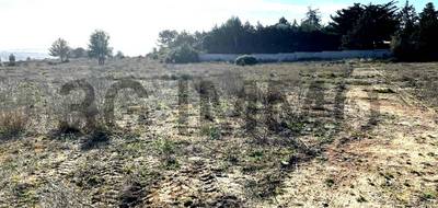 Terrain à Lespignan en Hérault (34) de 0 m² à vendre au prix de 250000€ - 2