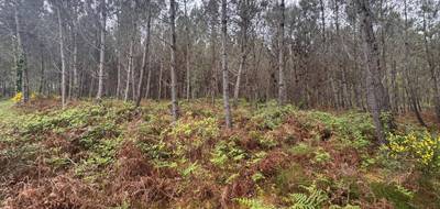 Terrain à Barbaste en Lot-et-Garonne (47) de 48400 m² à vendre au prix de 48400€ - 4