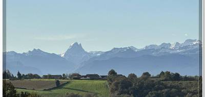 Terrain à Sauvagnon en Pyrénées-Atlantiques (64) de 0 m² à vendre au prix de 77000€ - 1