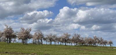Terrain à Cambremer en Calvados (14) de 0 m² à vendre au prix de 96000€ - 2