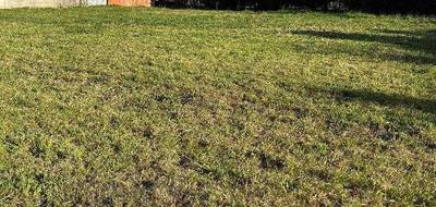Terrain à Saint-Félix-Lauragais en Haute-Garonne (31) de 720 m² à vendre au prix de 59000€ - 2